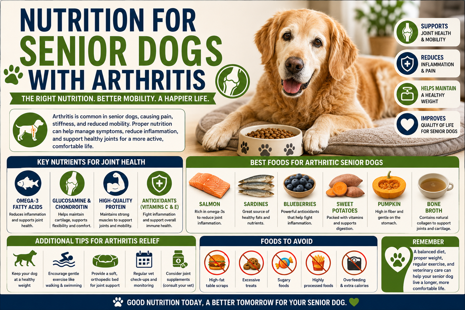 Nutrition for Senior Dogs with Arthritis: The Complete Guide to Joint Health and Mobility Nutrition for Senior Dogs with Arthritis: The Complete Guide to Joint Health and Mobility