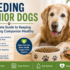 How to Keep Your Senior Dog’s Mind Sharp: Proven Tips for Mental Health and Cognitive Wellness