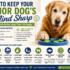 Why Are My Dog’s Eyes Cloudy? The Importance of Nutrition for Senior Dogs