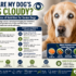 How to Keep Your Senior Dog’s Mind Sharp: Proven Tips for Mental Health and Cognitive Wellness