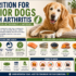 Why Are My Dog’s Eyes Cloudy? The Importance of Nutrition for Senior Dogs