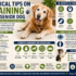 Nutrition for Senior Dogs with Arthritis: The Complete Guide to Joint Health and Mobility